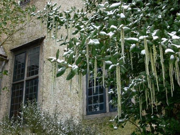 Bois des Moutiers Winterreise (4)
